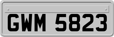 GWM5823