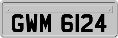 GWM6124