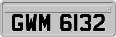 GWM6132