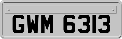 GWM6313