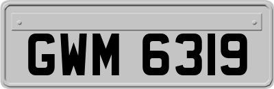GWM6319