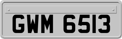 GWM6513
