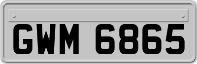 GWM6865
