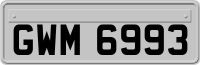 GWM6993