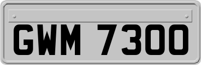GWM7300