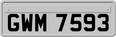 GWM7593