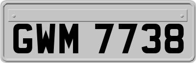 GWM7738