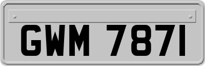 GWM7871