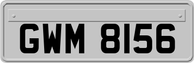 GWM8156