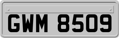 GWM8509