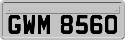 GWM8560