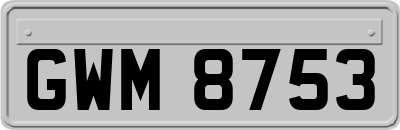GWM8753