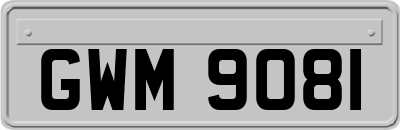 GWM9081