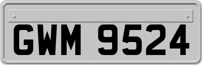 GWM9524