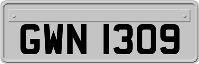 GWN1309