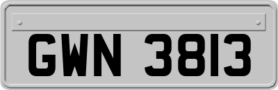 GWN3813