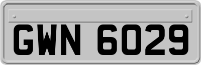 GWN6029