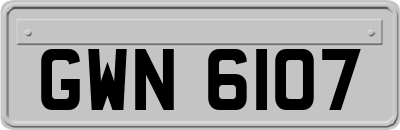 GWN6107