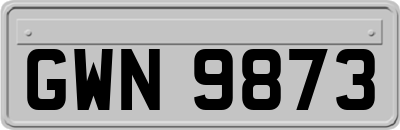 GWN9873