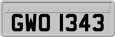 GWO1343