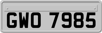GWO7985