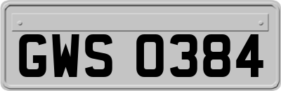 GWS0384