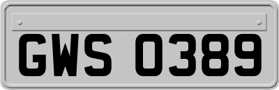 GWS0389