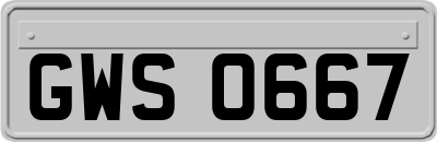 GWS0667