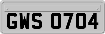 GWS0704