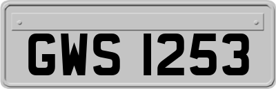 GWS1253