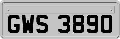 GWS3890