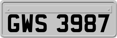 GWS3987