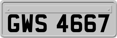 GWS4667