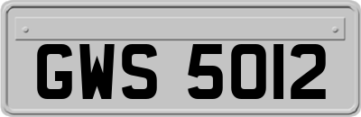 GWS5012