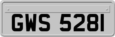 GWS5281
