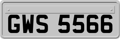 GWS5566