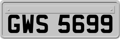 GWS5699