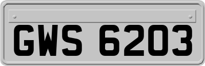 GWS6203