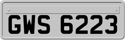 GWS6223