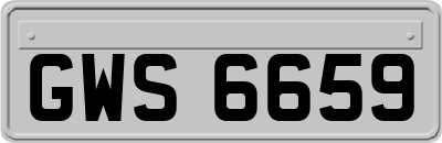 GWS6659