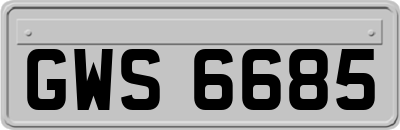 GWS6685