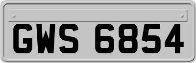 GWS6854