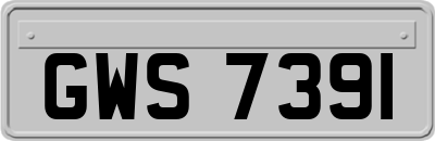 GWS7391