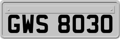 GWS8030