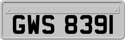 GWS8391