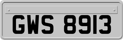 GWS8913