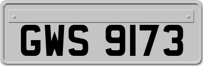 GWS9173