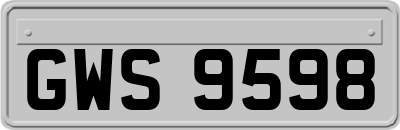 GWS9598