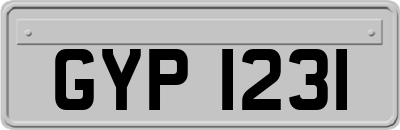 GYP1231