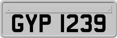 GYP1239